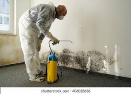 Best Industrial Mold Remediation  in Richwood, LA